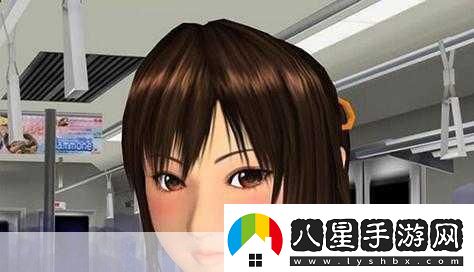 電車(chē)之狼r秘籍
