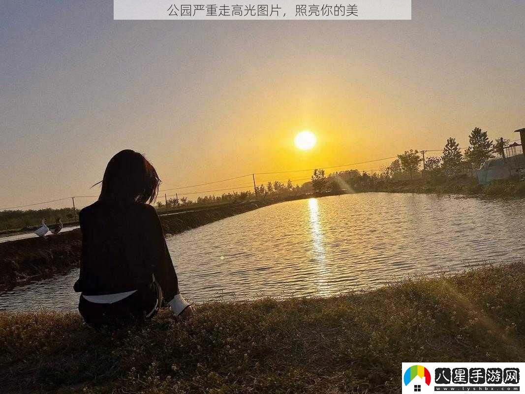 公園嚴重走高光圖片