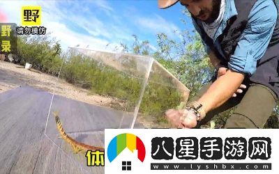 智慧再現！沙漠蜈蚣的必勝打法