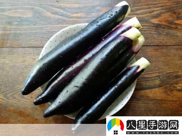 茄子最汅api免費安裝