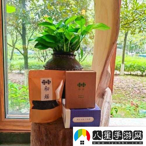 藏秘雄精：傳承千年的神秘養生瑰寶與獨特魅力