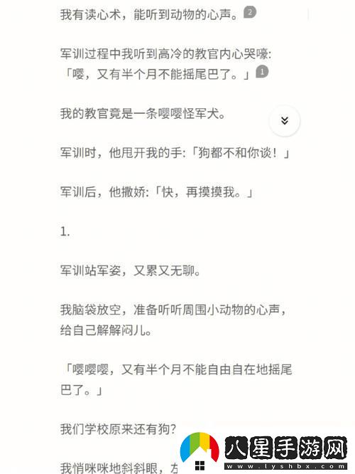 內容豐富爽