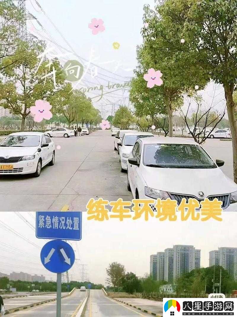 韓萌萌和劉教練練車(chē)叫什么名字之練車(chē)那些事兒