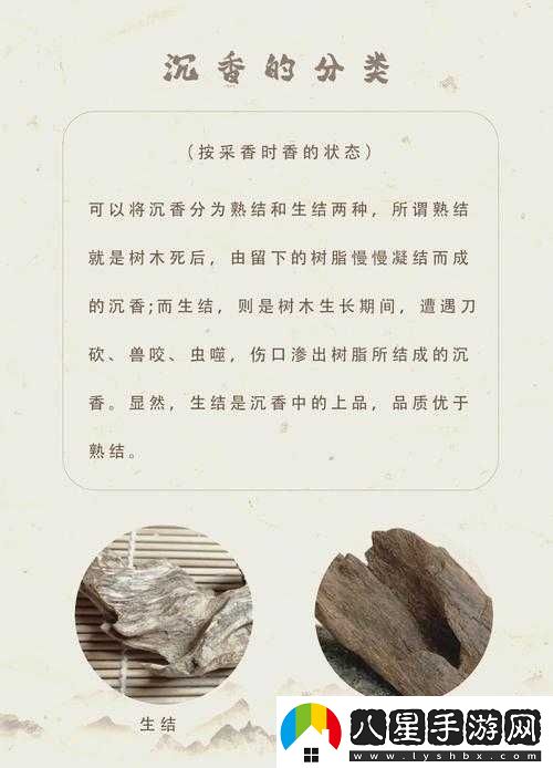 大香煎在錢(qián)jia