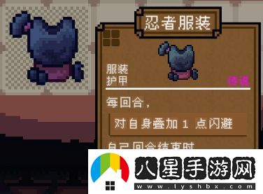 背包英雄全護甲道具有哪些
