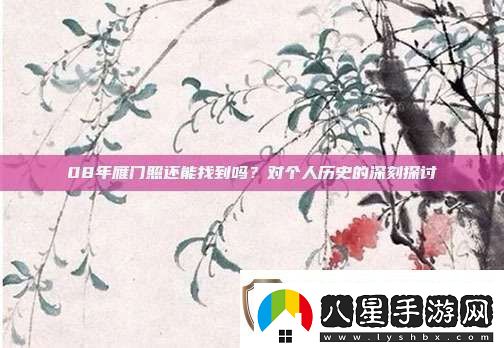 08年雁門(mén)照還能找到嗎