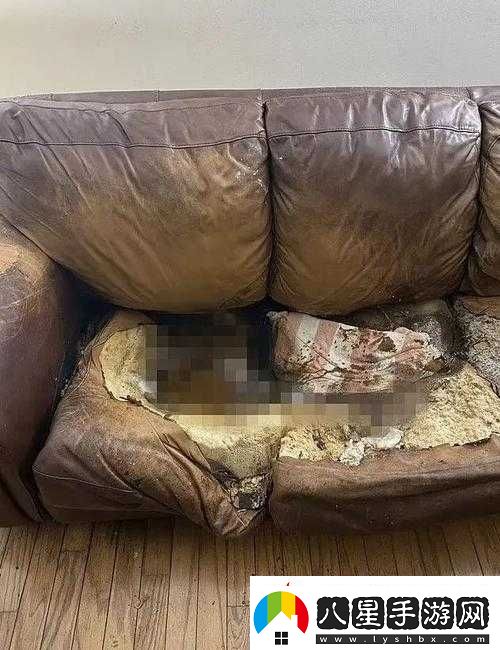 小啞巴身懷六甲孤獨地坐在沙發(fā)上