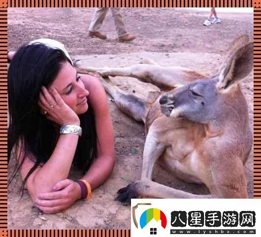 “奇趣互動(dòng)！高清時(shí)代的人物與動(dòng)物‘吵架’日常