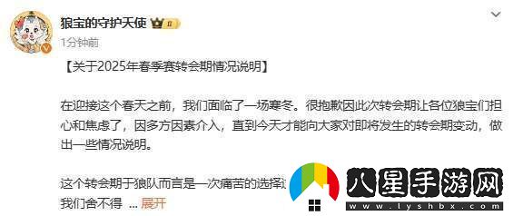 狼隊轉會(huì )說(shuō)明
