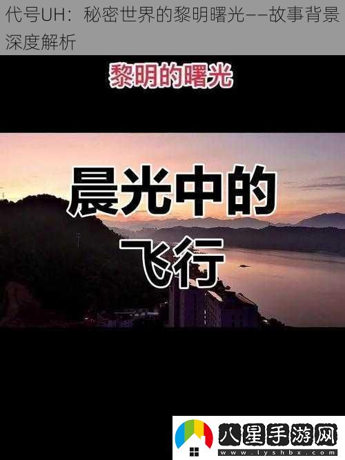 代號UH