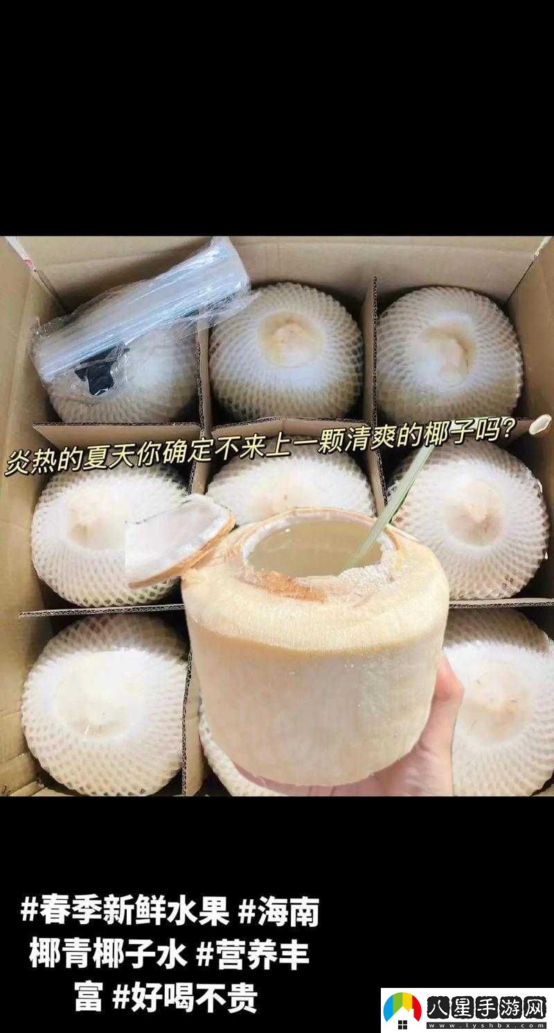 小森生活中椰子的具體用途及水果在游戲內的多樣化作用介紹