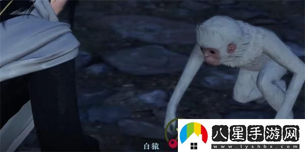 逆水寒手游猿戲圖獲取攻略大揭秘！