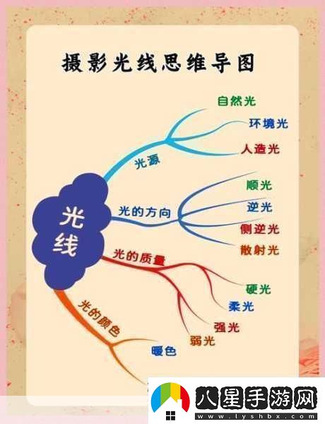 攝影藝術(shù)入門(mén)指南＂掌握光影之美