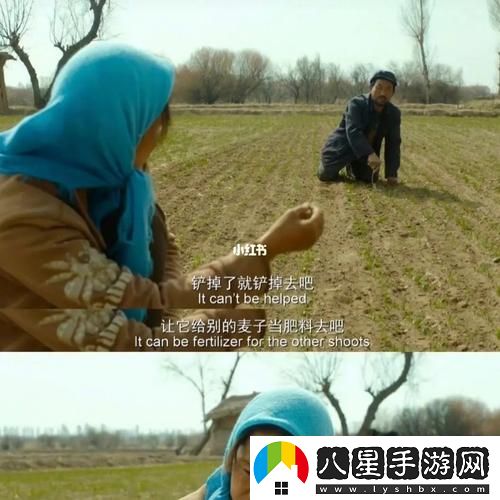兄弟換麥子3普通話(huà)高清電影