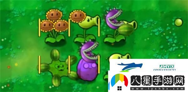 植物大戰僵尸嫁接版怎么玩