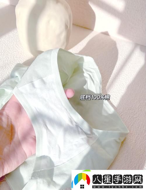 精致舒適的蜜桃91精品秘?入口內褲