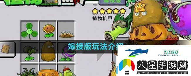 植物大戰僵尸嫁接版怎么玩
