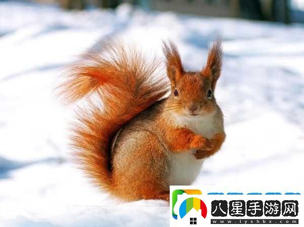 AAAA級毛皮最火的一句透露了中文社區開(kāi)放信息探索AAAA級毛皮的魅力盡享中文社區開(kāi)放新視野！