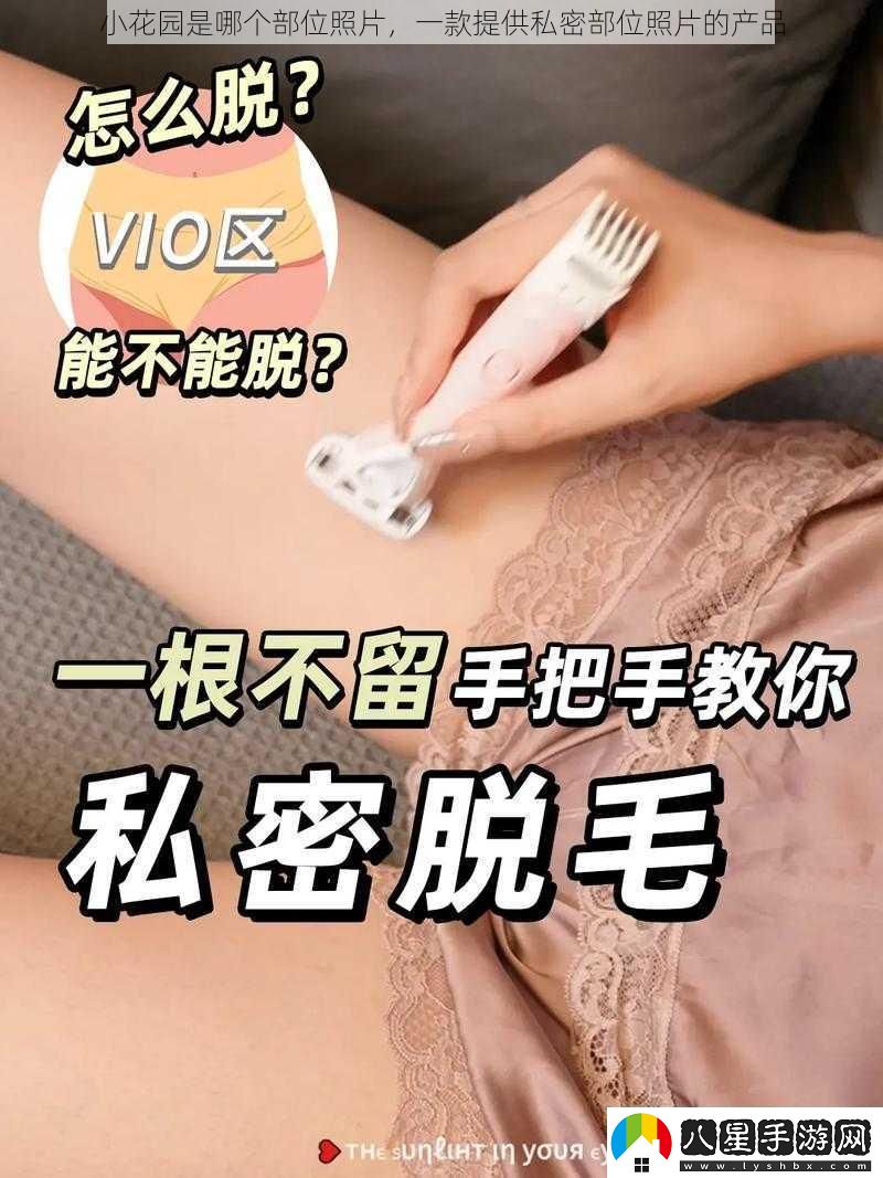 小花園是哪個(gè)部位照片