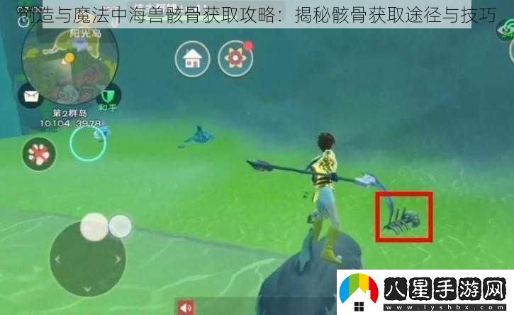 創(chuàng  )造與魔法中海獸骸骨獲取攻略