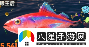 歡樂(lè )釣魚(yú)大師雙倍經(jīng)驗怎么獲得