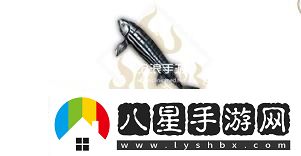 妄想山海斑馬魚(yú)屬性介紹