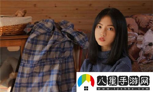 國內永久免費SaaS