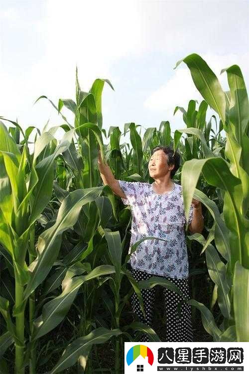 耕耘大嬸的肥沃的土地