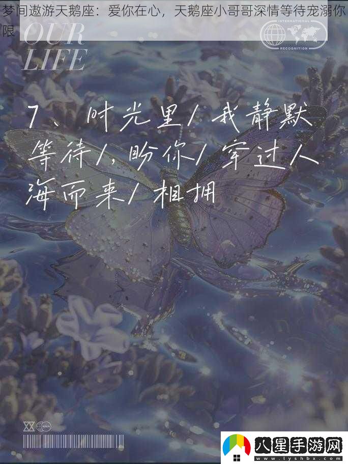 夢(mèng)間遨游天鵝座
