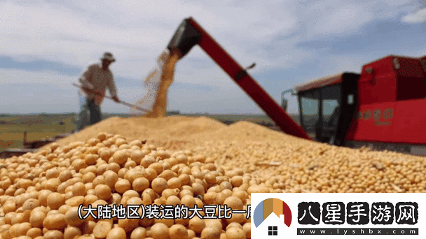 大豆行情免費