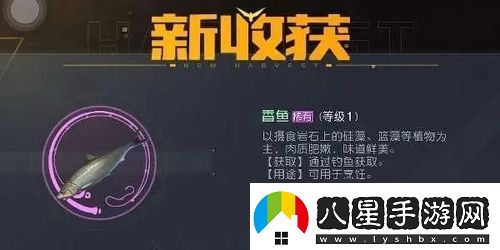 黎明覺(jué)醒生機香魚(yú)在哪里釣