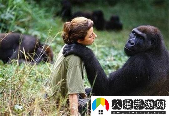 動(dòng)物與人類(lèi)的“糾葛”