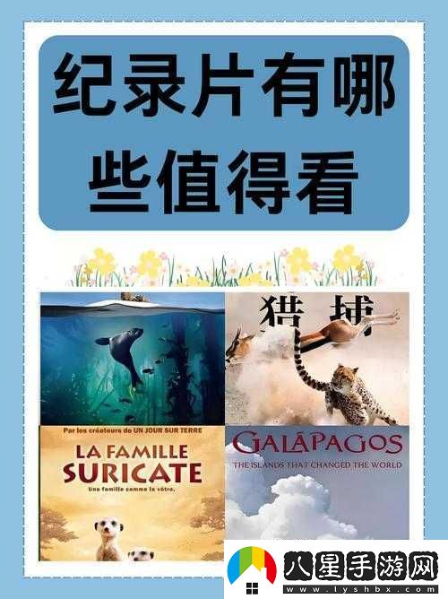 成片一卡二卡三卡觀(guān)看：探尋其背后的意義與價(jià)值