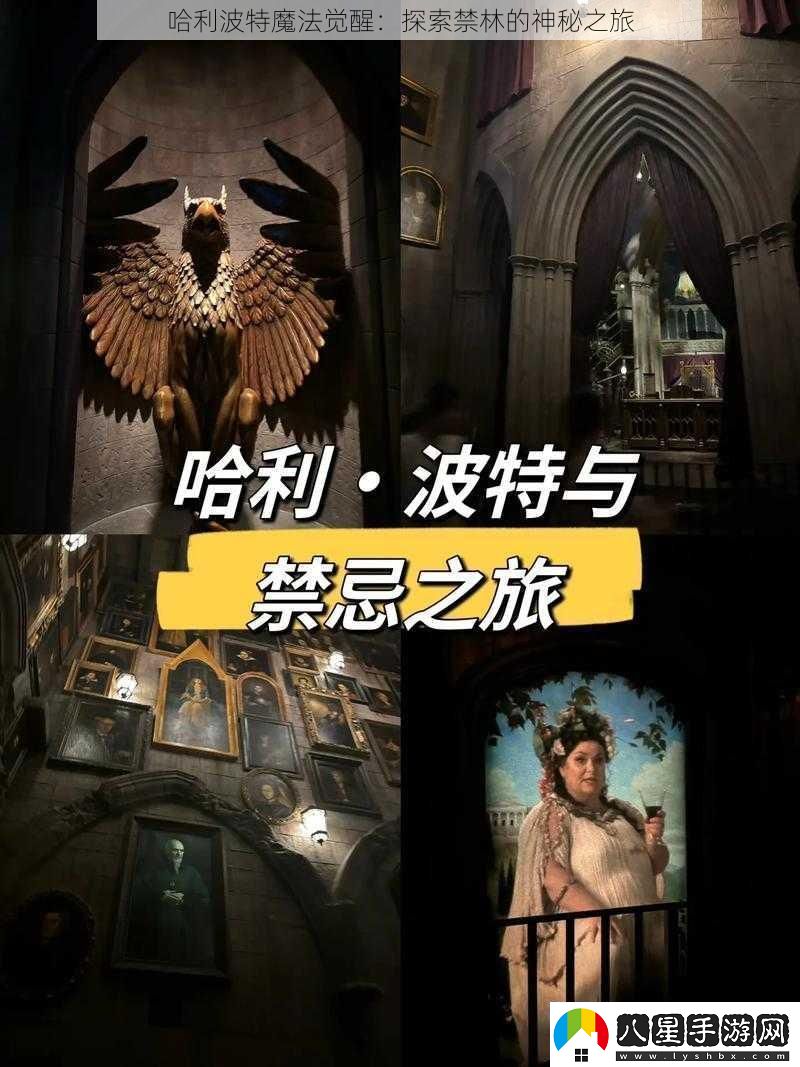 哈利波特魔法覺(jué)醒