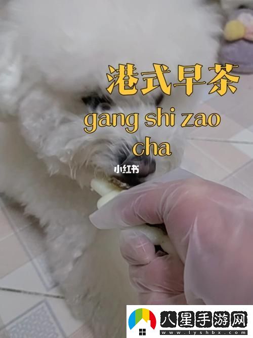 美國人與動(dòng)物膠配方有幾種