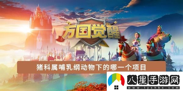 豬科屬哺乳綱動(dòng)物下的哪一個(gè)項目