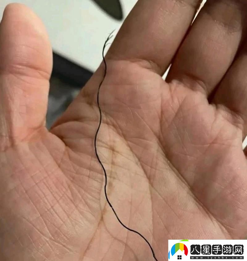 內容豐富有一根又黑又硬的