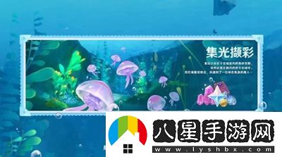 原神4.1版本有哪些新活動(dòng)