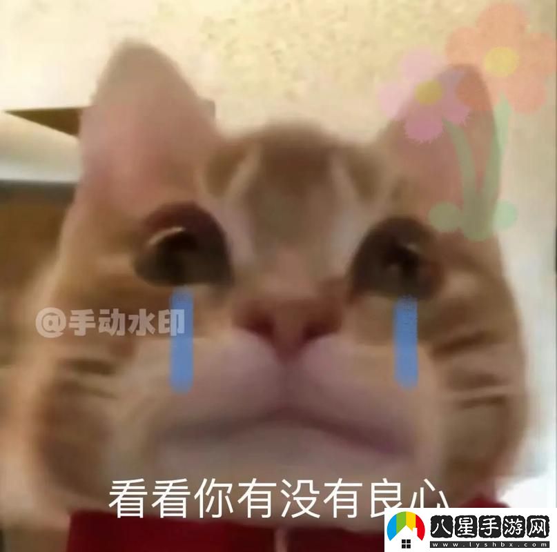 細數男人把QQ號放進(jìn)女人表情包里