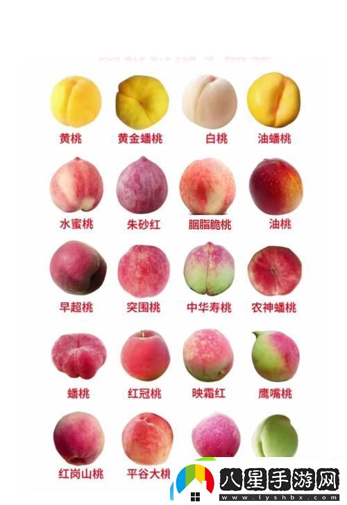 蜜桃產(chǎn)品一二三產(chǎn)區的獨特魅力與經(jīng)濟潛力