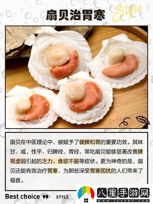 寶貝你的扇貝開(kāi)了讓我們一起探索海洋的美麗
