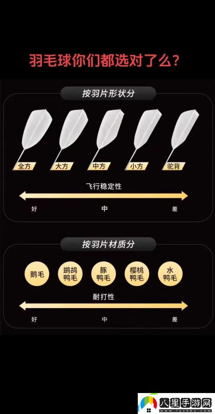 AAAA級毛與AAAA的區別