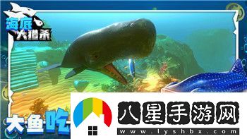上古卷軸用什么武器最強詳細解析如何選擇最適合的武器種類(lèi)