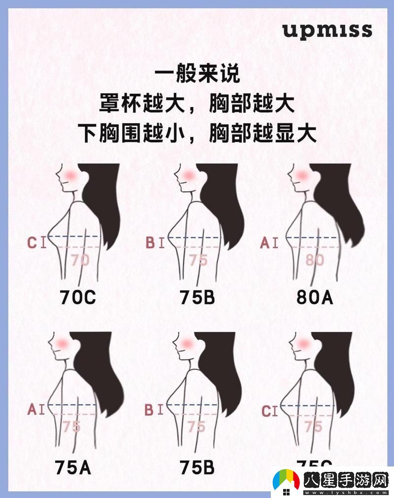 大B與小B的區別