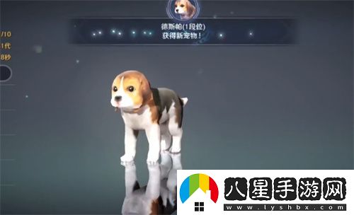 黑色沙漠手游寵物飼料在哪買(mǎi)