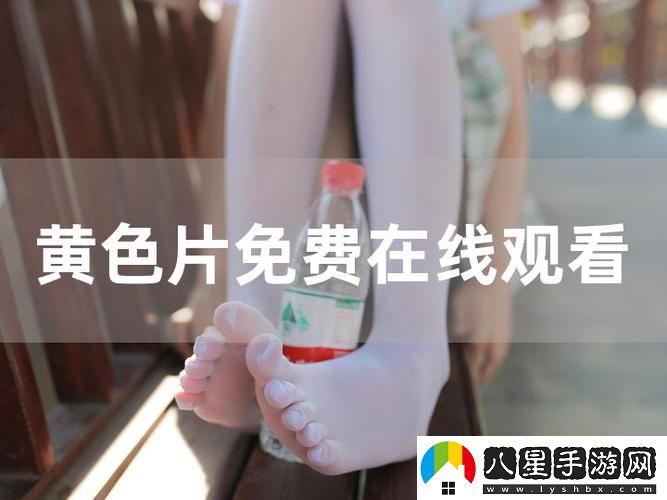 免費高清在線(xiàn)觀(guān)看人數在哪