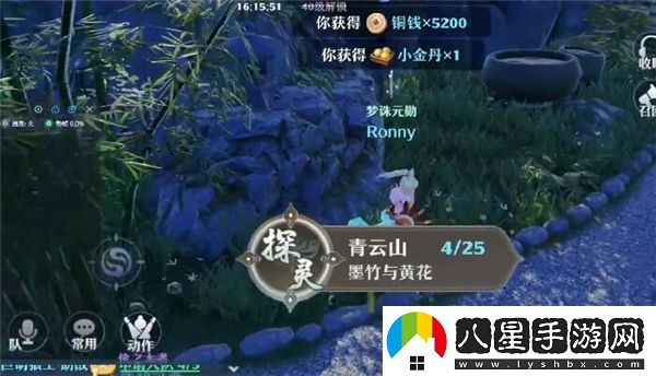 夢(mèng)幻新誅仙墨竹與黃花任務(wù)攻略一覽
