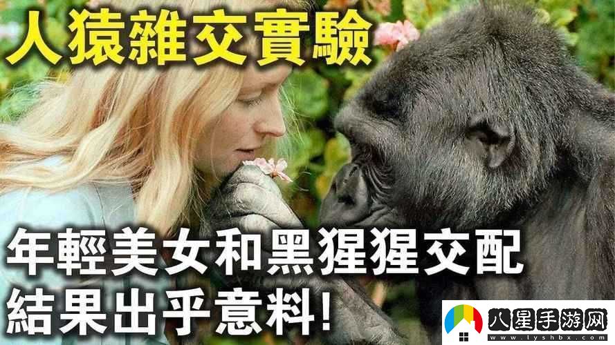 為什么歐美性受與類(lèi)人猿的