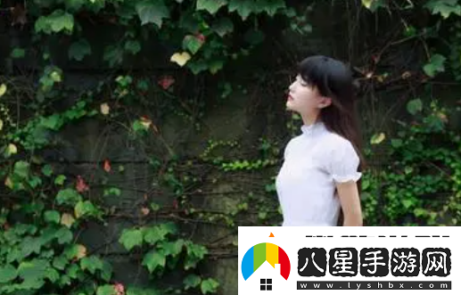 9.1短視頻網(wǎng)頁(yè)入口網(wǎng)站推廣
