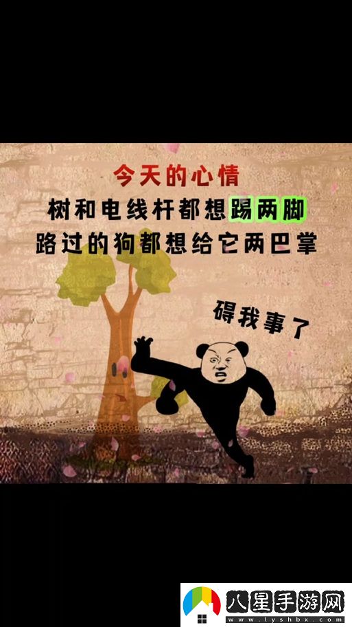 老子今天就要開(kāi)你的包